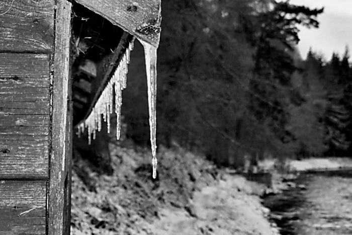 Icicles on a hut by the River Dee, Aboyne, Scotland