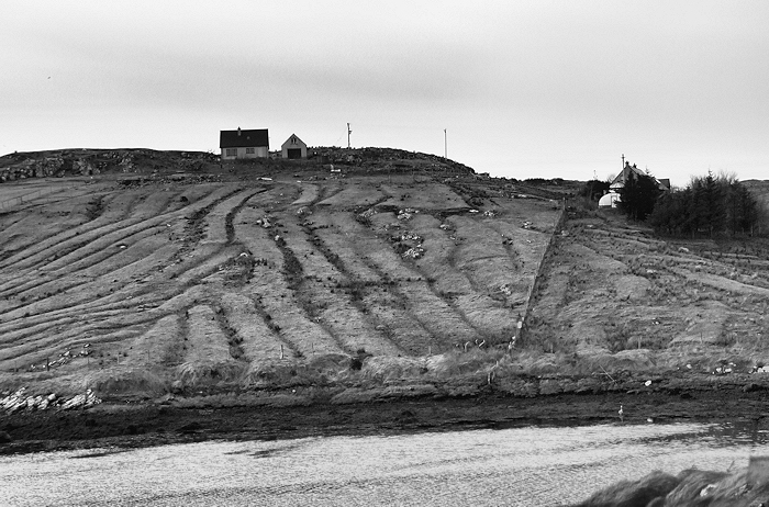 A croft showing the remains of an ancient runrig.