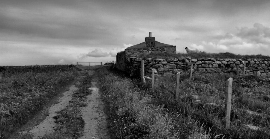 A Sheep owning a Blackhouse